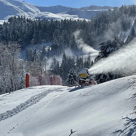 Duplex Rénové 2 Chambres, Proche Pistes, Navette Et Gare, Avec Wifi Et équipements Complets - Fr-1-787-4 * Laveissière